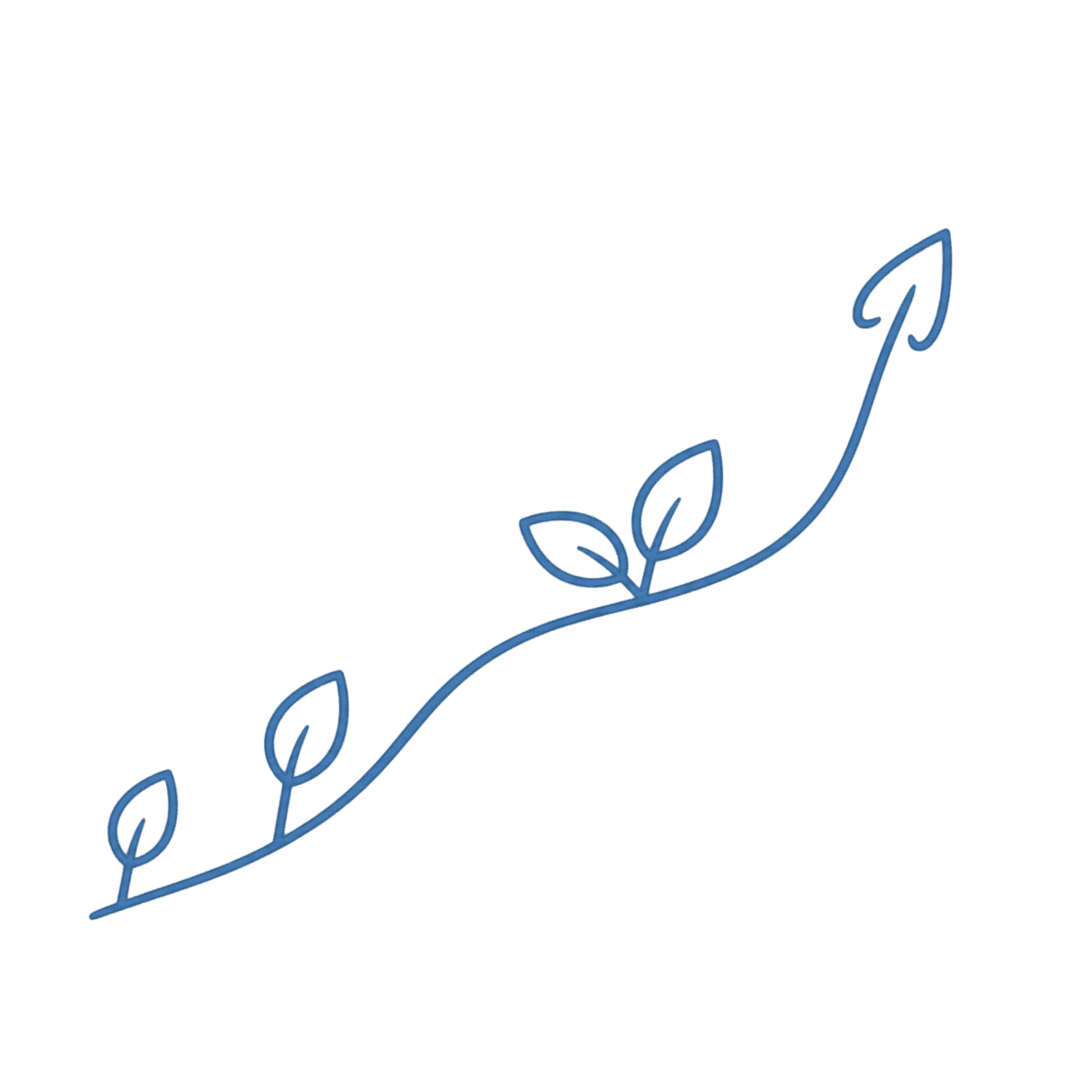 Line illustration of a branch growing, representing steady progress